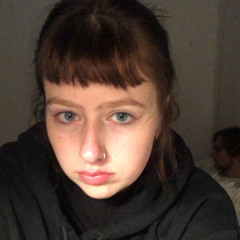 czarna_krowa