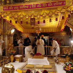 ami damanpreet singh manes