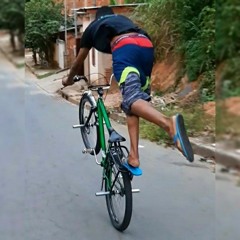 PEDRO_MDC.02