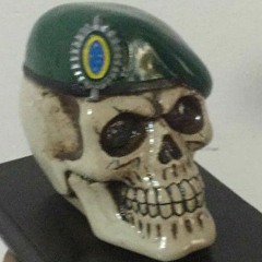 CANÇÕES DO EXÉRCITO BRASILEIRO