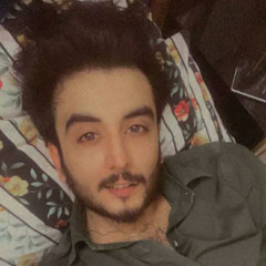 Salman nasir