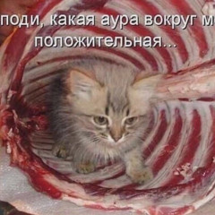 Krovyankaa