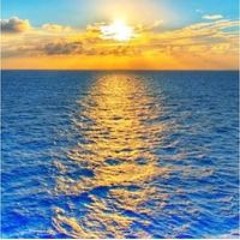 نور وهدي هدي