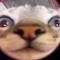 NOT gasygsbwnwlwkahshxb