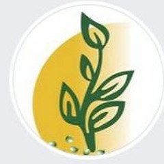 Biocarve Seeds