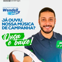 Deputado Wendell Lages 43000