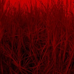 Bloodlines - Beenofficial Mylabel xx