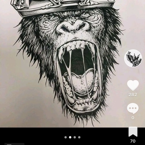 Verrückte Welt 🌍