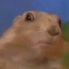 OnlyChipmunk517