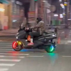 진주족