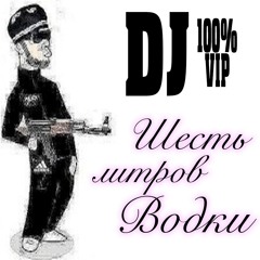 dj шесть литров водки