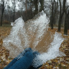 Мария Саморокова