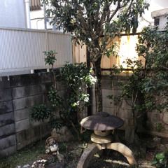user470389572