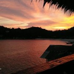 Luguide Sharkviewbar