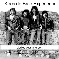 Kees de Bree