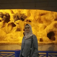 Inje Elhnafi