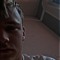 Jayzee_18