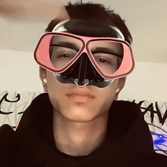 yariks
