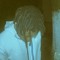ilAvxry