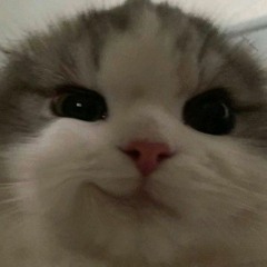 Monché