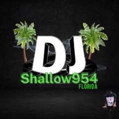 djshallow954