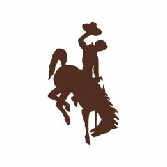 RODEO.DNB