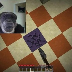 PBG playlista