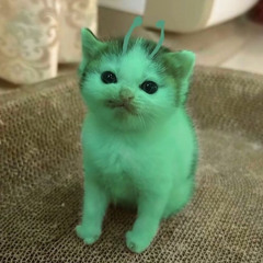 NUwUdle