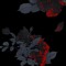 xxbs_for.lie