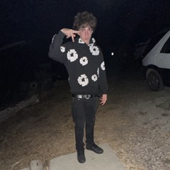 d1_player30