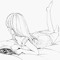 .meow