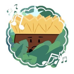 SOL!! / no.1 broomer/tbb fan