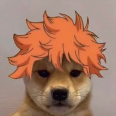 (๑･̑◡･̑๑)