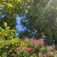 Kjerstine Krogstadmo