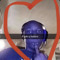 ITS Danter