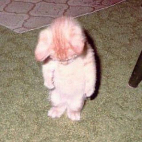 Нон Стоп Nightcore