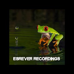 Esrever Recordings
