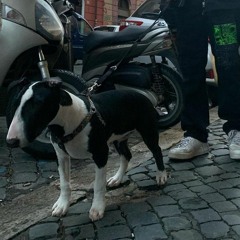darketto