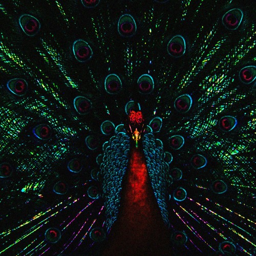 Stream Szafari Wav Music Listen To Songs Albums Playlists For Free