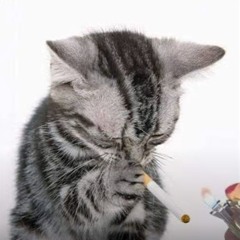 remy!