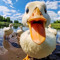 DDUCK 2