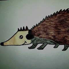 🦔 Héris-Sound 🦔