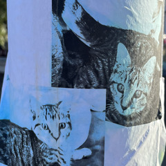 illbeinthelivingroom