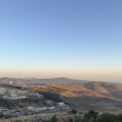 terzariossso