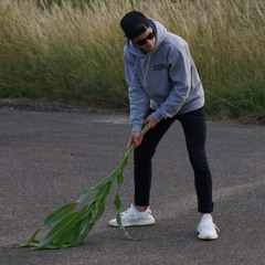 tomsprongl