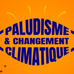 L'Initiative-Expertise France
