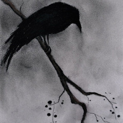 cottage_Raven🖤