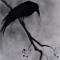 cottage_Raven🖤