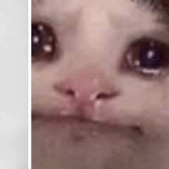 User 354877799