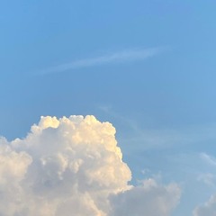 스피카